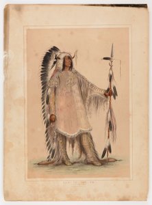 Mah-to-toh-pa, mandanhövdingen av George Catlin