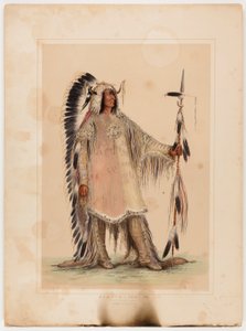 Mah-to-toh-pa, mandanhövdingen av George Catlin