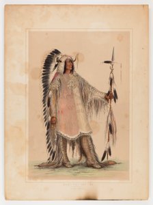 Mah-to-toh-pa, mandanhövdingen av George Catlin