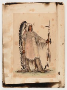 Mah-to-toh-pa, mandanhövdingen av George Catlin