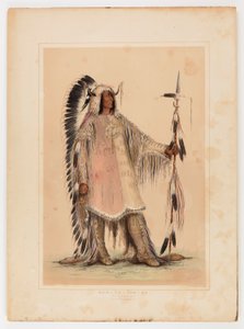 Mah-to-toh-pa, mandanhövdingen av George Catlin