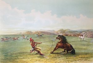 Osagejägare som fångar vilda hästar (färg litho)