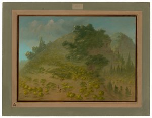 Rhododendronberget av George Catlin