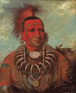 Shon-ta-yi-ga, Lilla vargen, en känd krigare, 1844-1845. av George Catlin