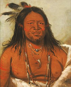 Ta-wáh-que-nah, Klippornas berg, andra hövdingen i stammen av George Catlin