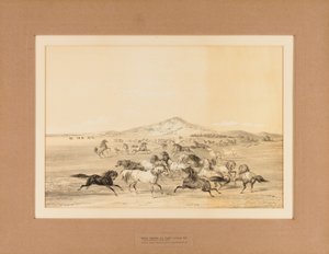Vilda hästar i lek - nr. 3 av George Catlin