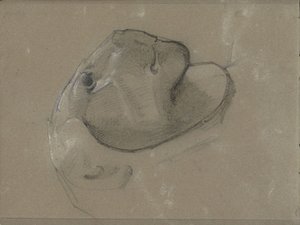 Lejonhuvud, förmodligen efter en skulptur av George Clausen