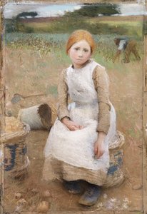 Lilla Rose