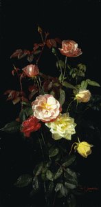 Rosor, 1878