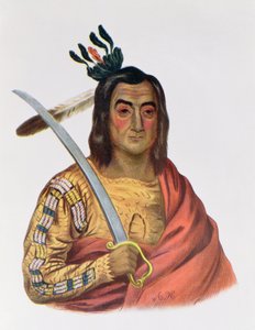 Mou-Ka-Ush-Ka eller "Den darrande jorden", en Yankton Sioux Chief, illustration från "The Indian Tribes of North America", av Thomas L. McKenney och James Hall, pub. av John Grant