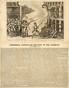 Förstörelse av den rasande elefanten vid Exeter Change av George Cruikshank