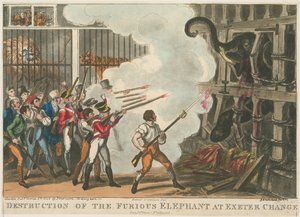 Förstörelse av den rasande elefanten vid Exeter Change, 1826 av George Cruikshank