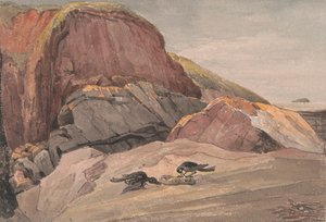 Nära Weston-Super-Mare med Steep Holme Island
