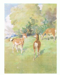 "God morgon lilla vän" (färg litho)
