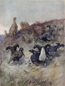 Illustration för historien om en kronhjort (litho i färg) av George Denholm Armour