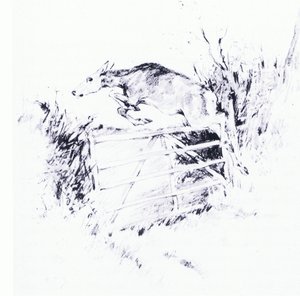 Som en pil från en båge (litho) av George Denholm Armour