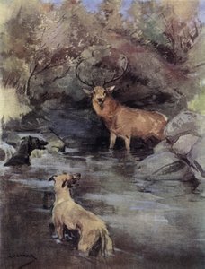 Stag at bay (färg litho) av George Denholm Armour