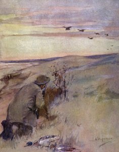 Vild fågel: flygande (färg litho) av George Denholm Armour