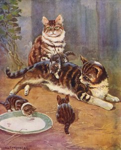 Nell var en vacker tabby (färglitografi)