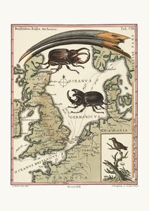 Den aegyptiska ibisens och den minsta kolibrisens räkningar, 1749-73 av George Edwards