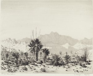 A Mirage, Arizona av George Elbert Burr