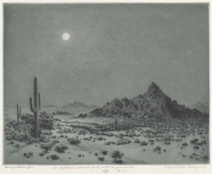 Arizona natt av George Elbert Burr