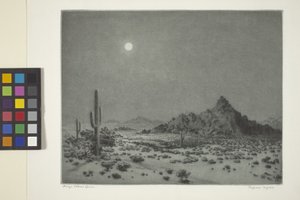 Arizona natt av George Elbert Burr