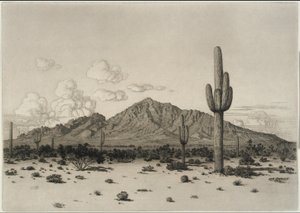 Camelback Mountain, Phoenix av George Elbert Burr
