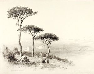Capri från Sorrento av George Elbert Burr