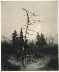 Kväll av George Elbert Burr