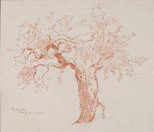Fiesole av George Elbert Burr