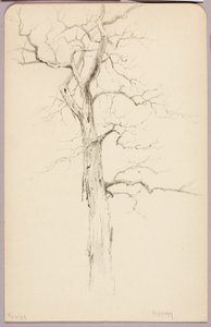 Hickory av George Elbert Burr