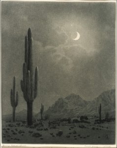 Nymåne och aftonstjärna, Phoenix av George Elbert Burr