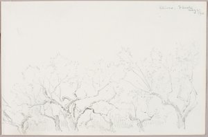 Oliver--Fiesole av George Elbert Burr