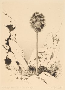Palm Canyon (nr 1) av George Elbert Burr