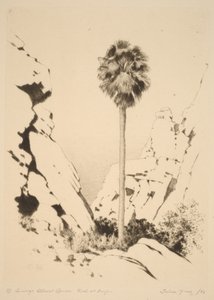 Palm Canyon (nr 1) av George Elbert Burr