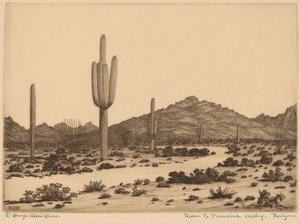 Vägen till Paradise Valley, Arizona