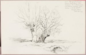 Roche Vaud av George Elbert Burr