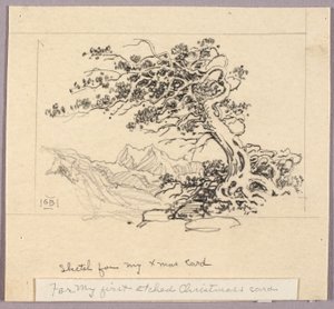 Skiss till julkort (Windswept Pine [nr 1]) av George Elbert Burr
