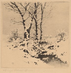 Snö av George Elbert Burr