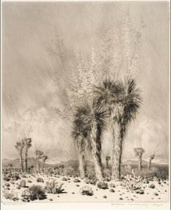 Vår, Paradise Valley, Arizona av George Elbert Burr