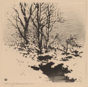 Den första snön (nr 2) av George Elbert Burr