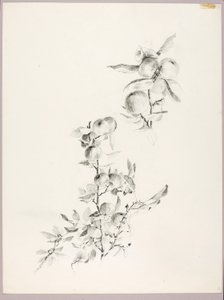 Utan titel (Äppelträdets grenar) av George Elbert Burr