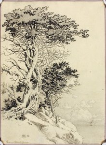 Utan titel (teckning för tryck) av George Elbert Burr