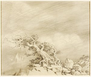 Utan titel (överföringsritning för Storm near Timberline) av George Elbert Burr