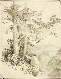 Utan titel (överföringsteckning för tryck) av George Elbert Burr