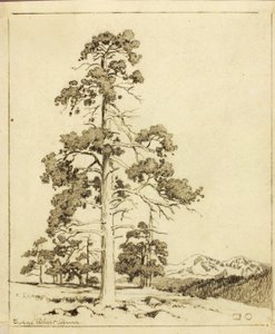 Utan titel (överföringsteckning för tryck) av George Elbert Burr
