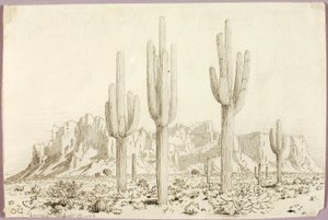 Utan titel av George Elbert Burr