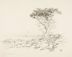 Utan titel av George Elbert Burr
