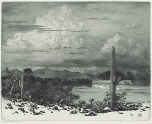 Verde River, Arizona av George Elbert Burr